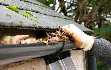 gutter cleaning Howgate